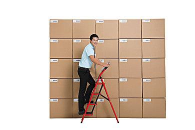 《宝可梦：朱＆紫》3天卖出1千万 破任天堂游戏记录